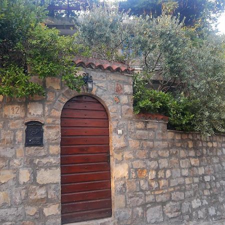 Sea-Side Old Stone Villa With A Private Garden Budva Kültér fotó
