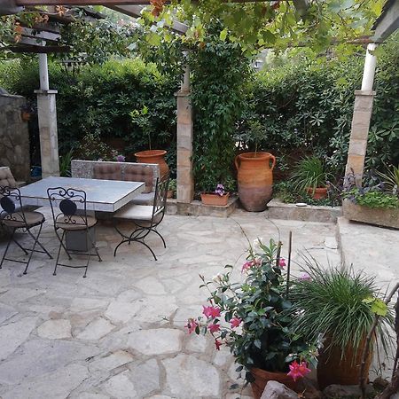 Sea-Side Old Stone Villa With A Private Garden Budva Kültér fotó
