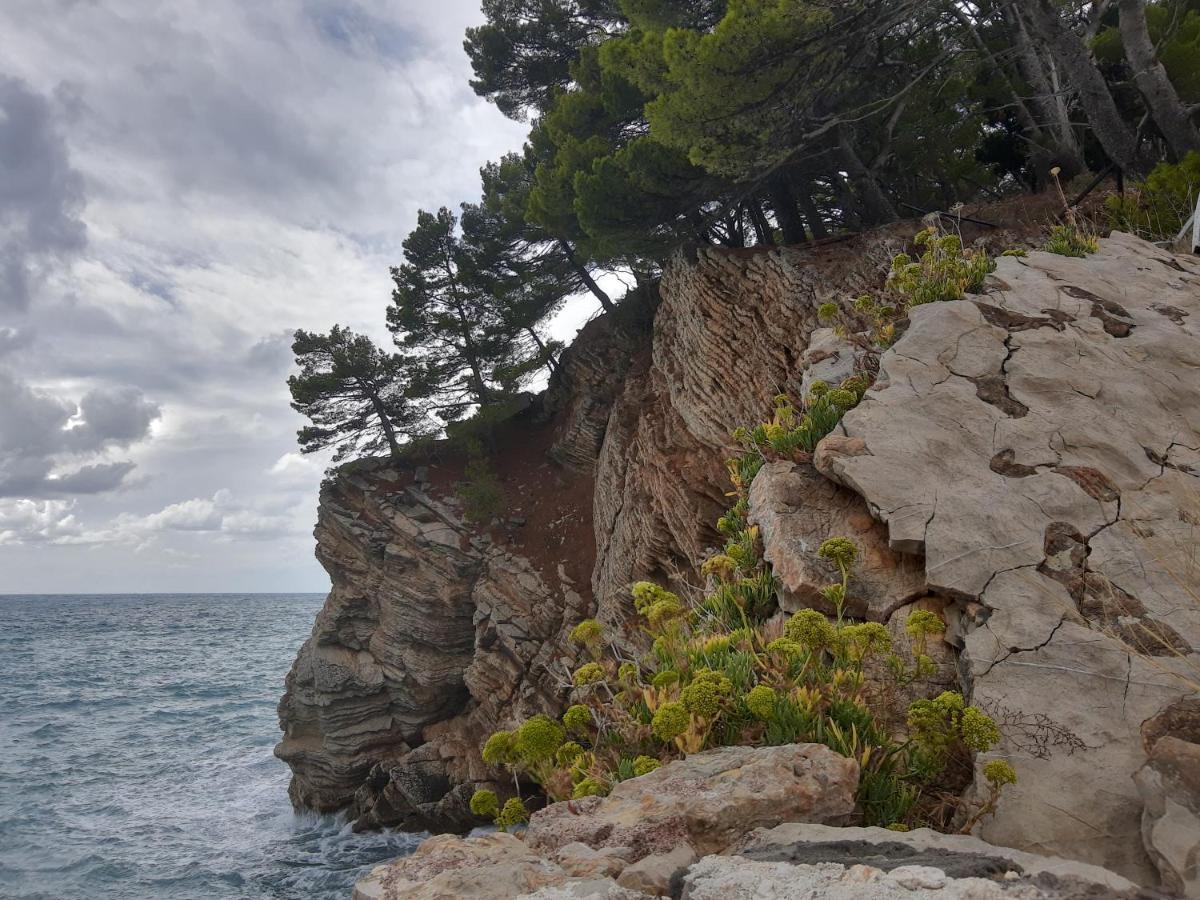 Sea-Side Old Stone Villa With A Private Garden Budva Kültér fotó