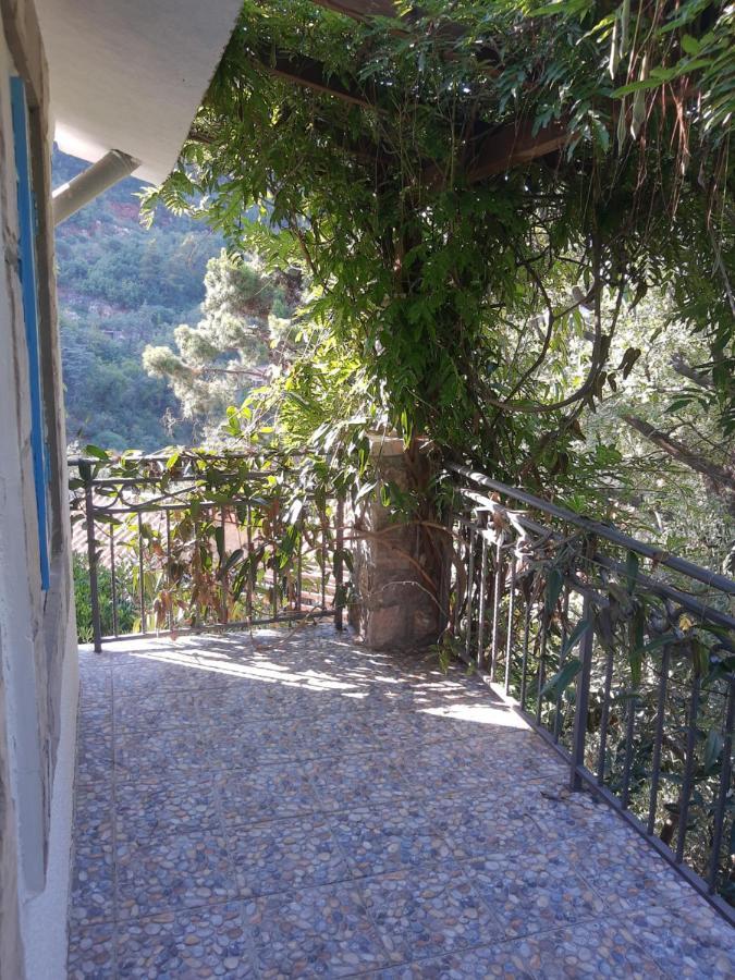 Sea-Side Old Stone Villa With A Private Garden Budva Kültér fotó