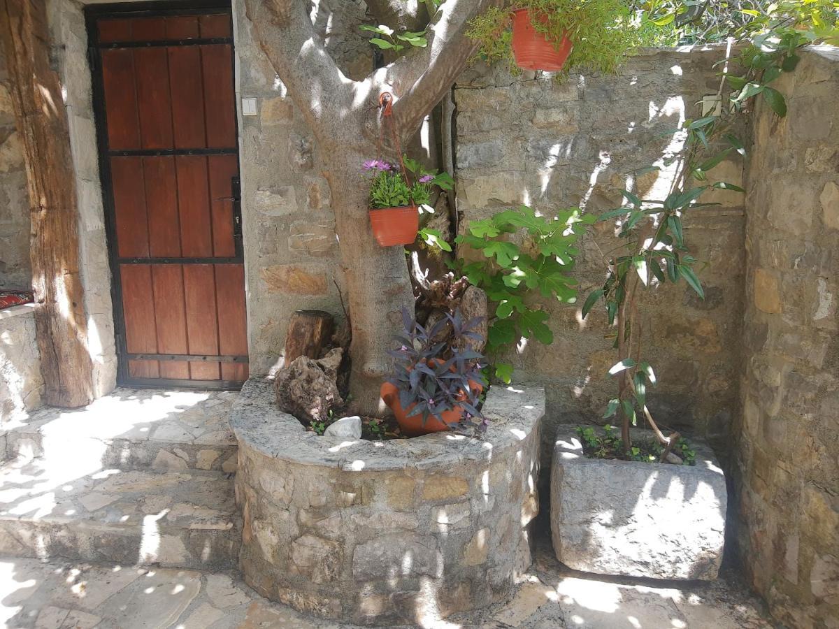 Sea-Side Old Stone Villa With A Private Garden Budva Kültér fotó