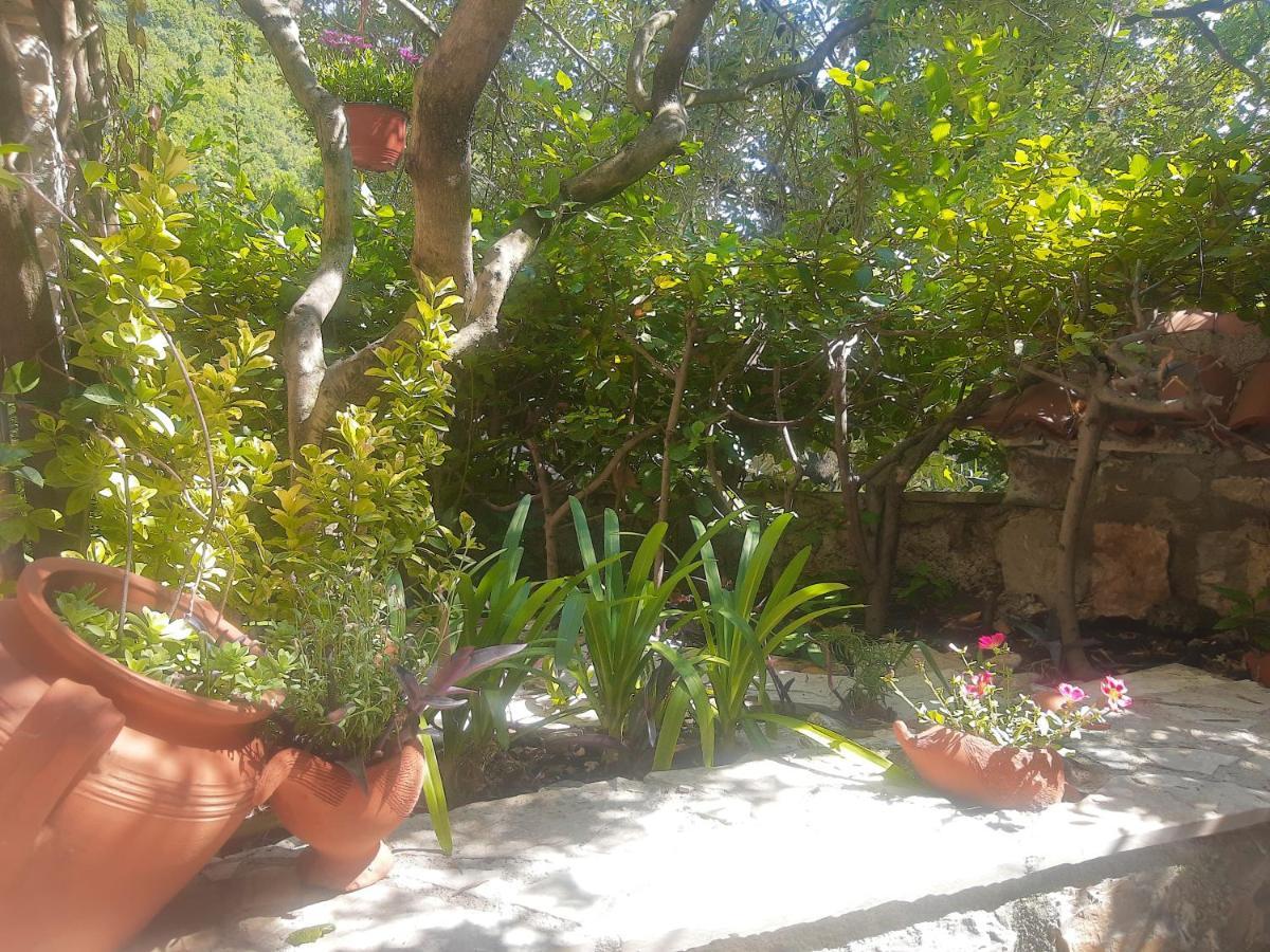 Sea-Side Old Stone Villa With A Private Garden Budva Kültér fotó