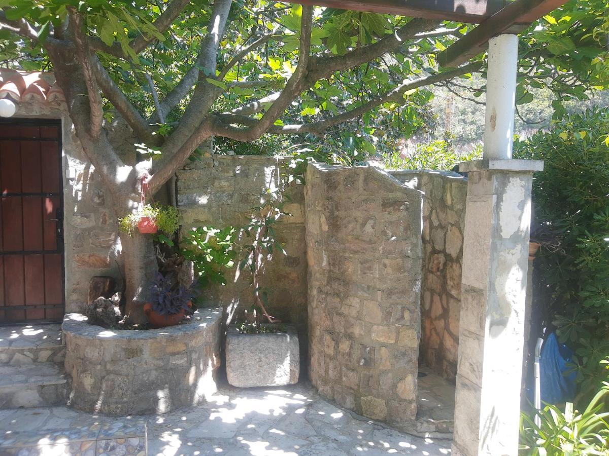 Sea-Side Old Stone Villa With A Private Garden Budva Kültér fotó