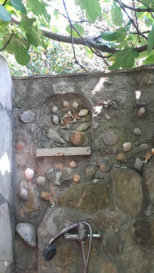 Sea-Side Old Stone Villa With A Private Garden Budva Kültér fotó