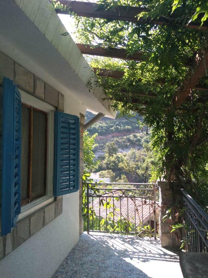 Sea-Side Old Stone Villa With A Private Garden Budva Kültér fotó